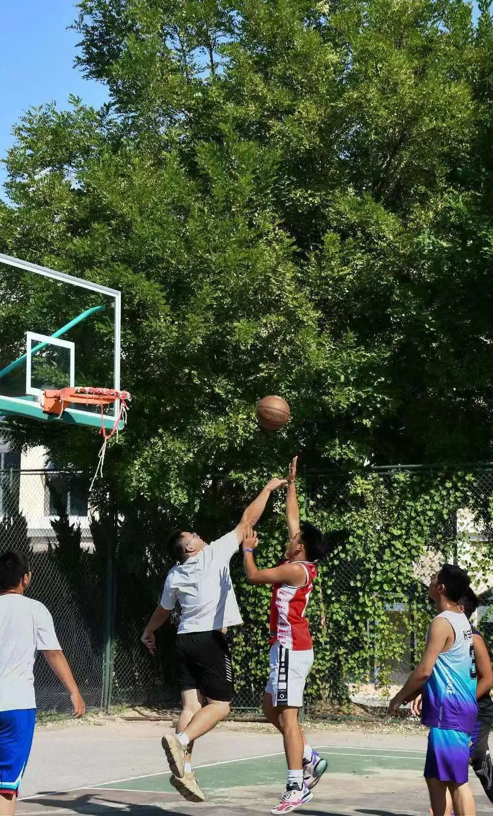 篮球规则投球_篮球5v5投球规则_篮球规则投球5v5