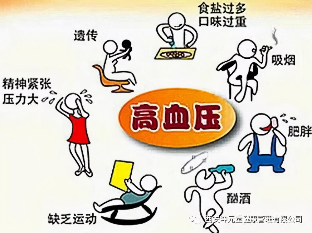 中医食疗亚健康_中医养生亚健康_中医讲亚健康