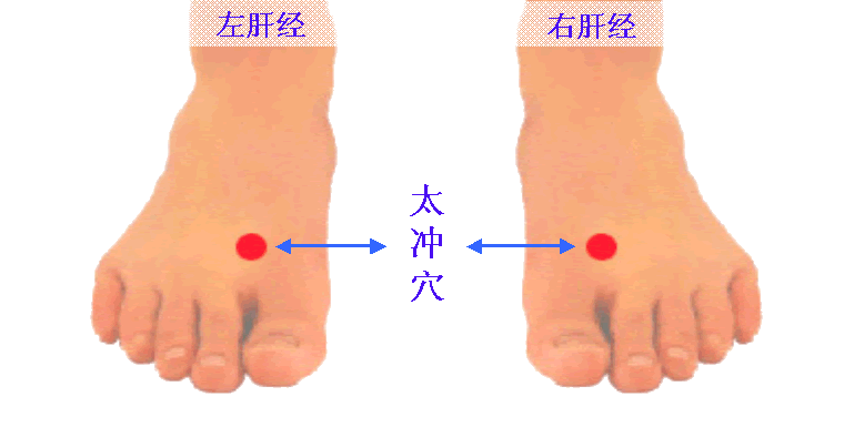有氧运动腿粗是怎么回事_大量有氧运动 小腿_有氧运动后小腿变粗