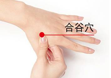 大量有氧运动 小腿_有氧运动后小腿变粗_有氧运动腿粗是怎么回事