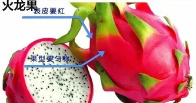 生活小窍门衣服系扣_系衣服扣子洋气的方法_穿衣服扣子怎么扣