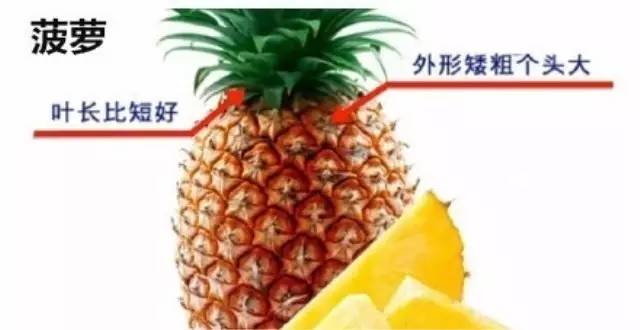 穿衣服扣子怎么扣_系衣服扣子洋气的方法_生活小窍门衣服系扣