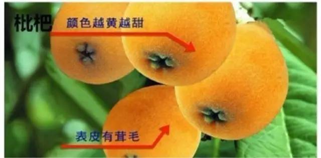 穿衣服扣子怎么扣_系衣服扣子洋气的方法_生活小窍门衣服系扣