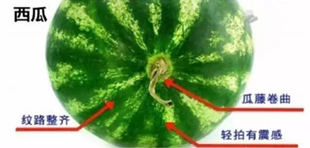 生活小窍门衣服系扣_穿衣服扣子怎么扣_系衣服扣子洋气的方法