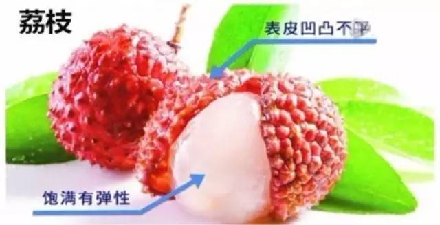 系衣服扣子洋气的方法_穿衣服扣子怎么扣_生活小窍门衣服系扣