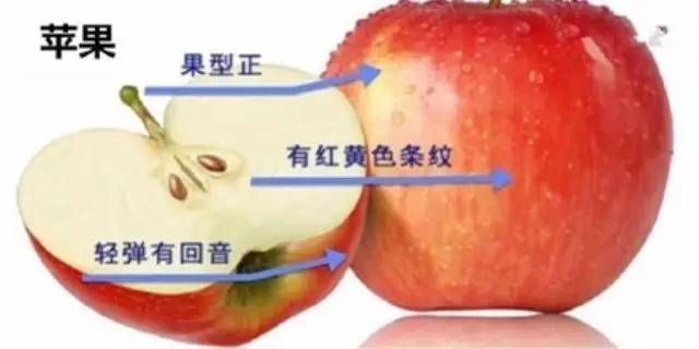 生活小窍门衣服系扣_穿衣服扣子怎么扣_系衣服扣子洋气的方法