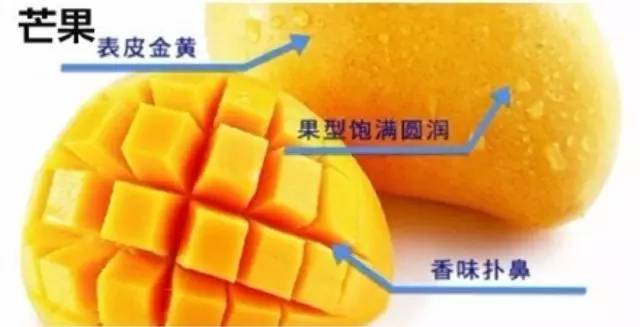 穿衣服扣子怎么扣_生活小窍门衣服系扣_系衣服扣子洋气的方法