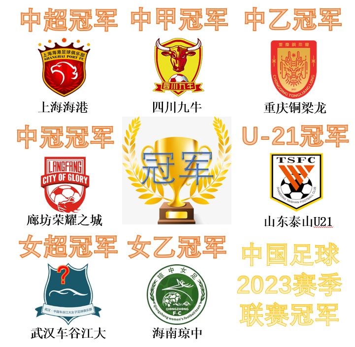 中国足球冠军那年_中国足球比赛冠军_今年中国冠军足球